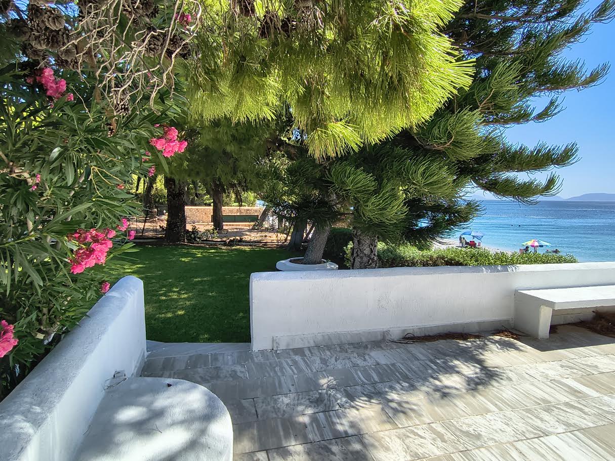 Aerial view of the pool, garden and sea